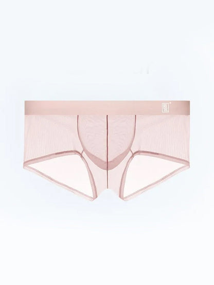 Men's Ultra-thin Low-Rise See-Through Ice Silk Briefs