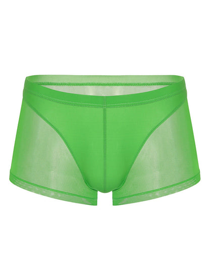 Sexy Panelled Mesh Trunks For Men