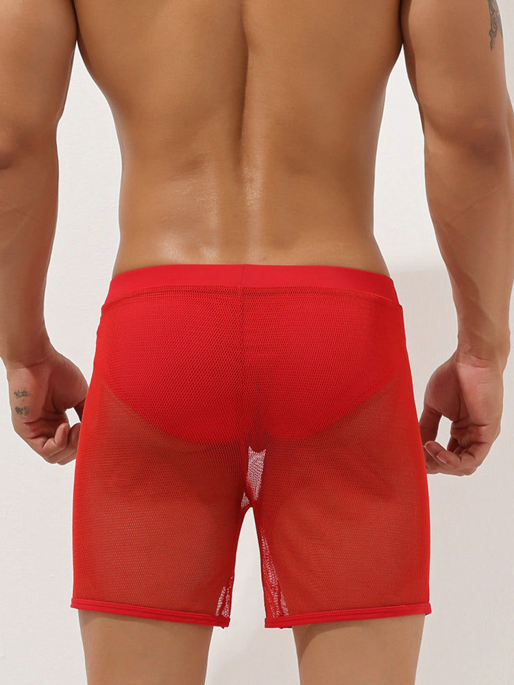 Men's Sexy See Through Mesh Boxer Shorts