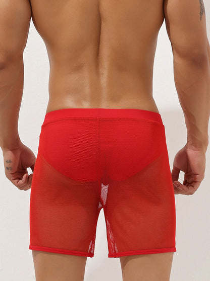 Men's Sexy See Through Mesh Boxer Shorts