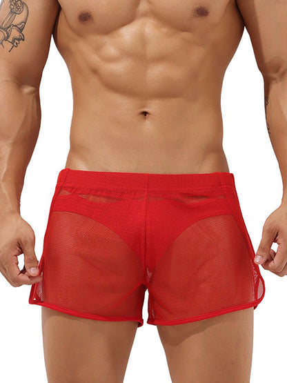 Men's Sexy See Through Mesh Boxer Shorts