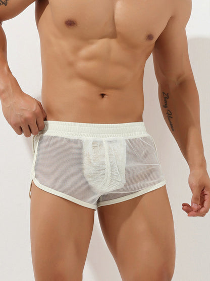 Men's Sexy See Through Mesh Boxer Shorts