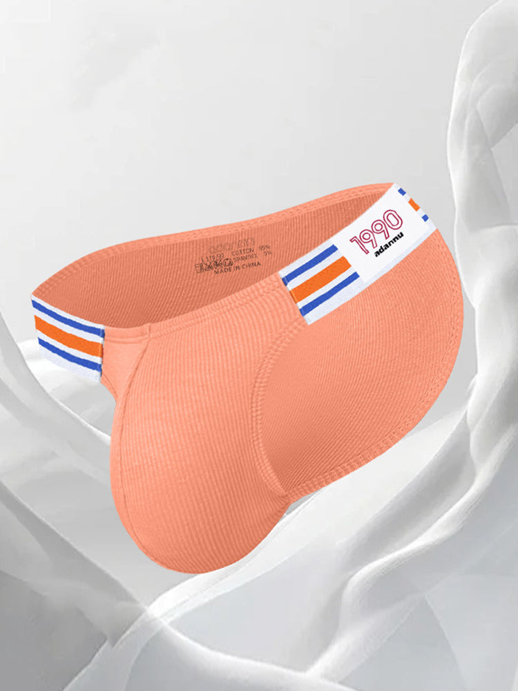 2 Pack Men's Breathable Low Rise Sexy Briefs