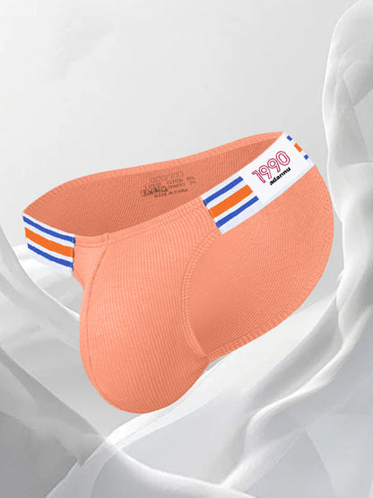 2 Pack Men's Breathable Low Rise Sexy Briefs