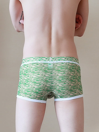 2-pack Men's Mesh Elephant Nose Transparent Boxer Briefs