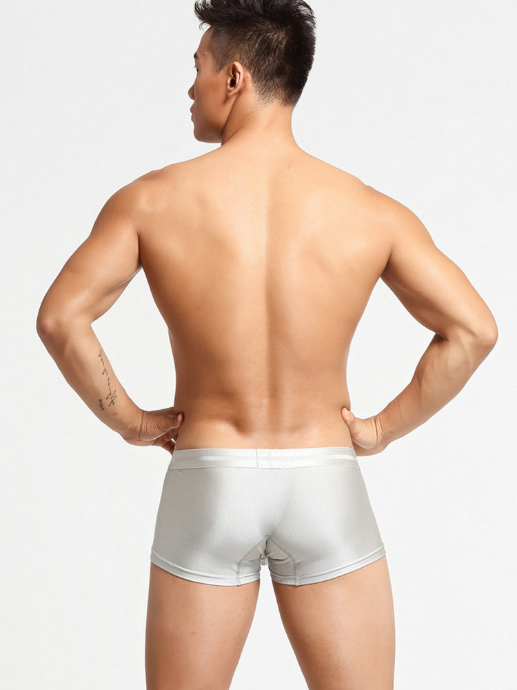2 Pack Men's Lustrous Metallic Trunks
