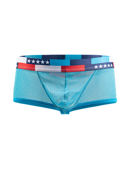 4-pack Men's Low-rise See-through Micro-mesh Pouch Shiny U-convex Wide-edge Boxer Briefs