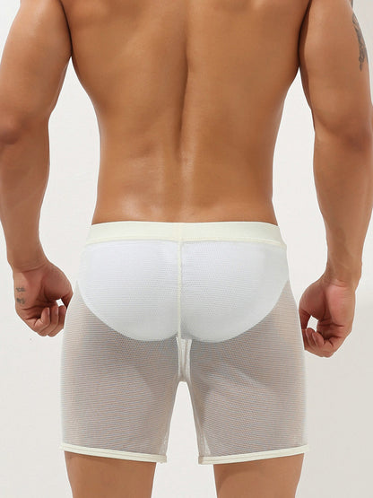 Men's Sexy See Through Mesh Boxer Shorts