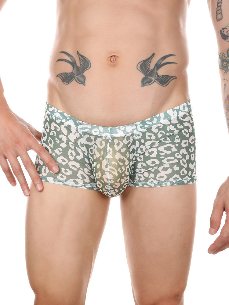 Leopard Print See-through Mesh Trunks