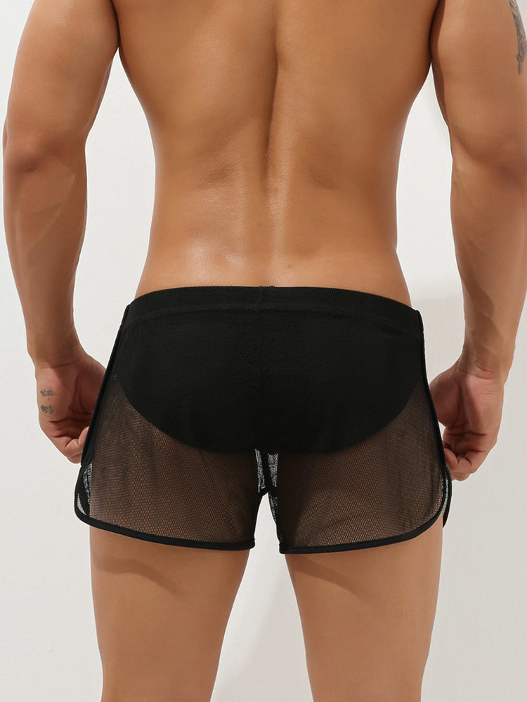 Men's Sexy See Through Mesh Boxer Shorts