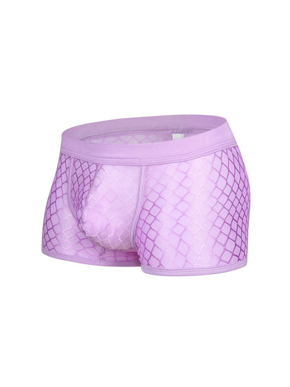 2 Pack Men's Sexy Transparent Mesh Trunks