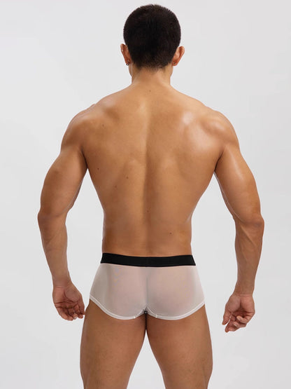 2-Pack Men's Breathable Mesh Ice Silk U-convex Low Waist Boxer Briefs
