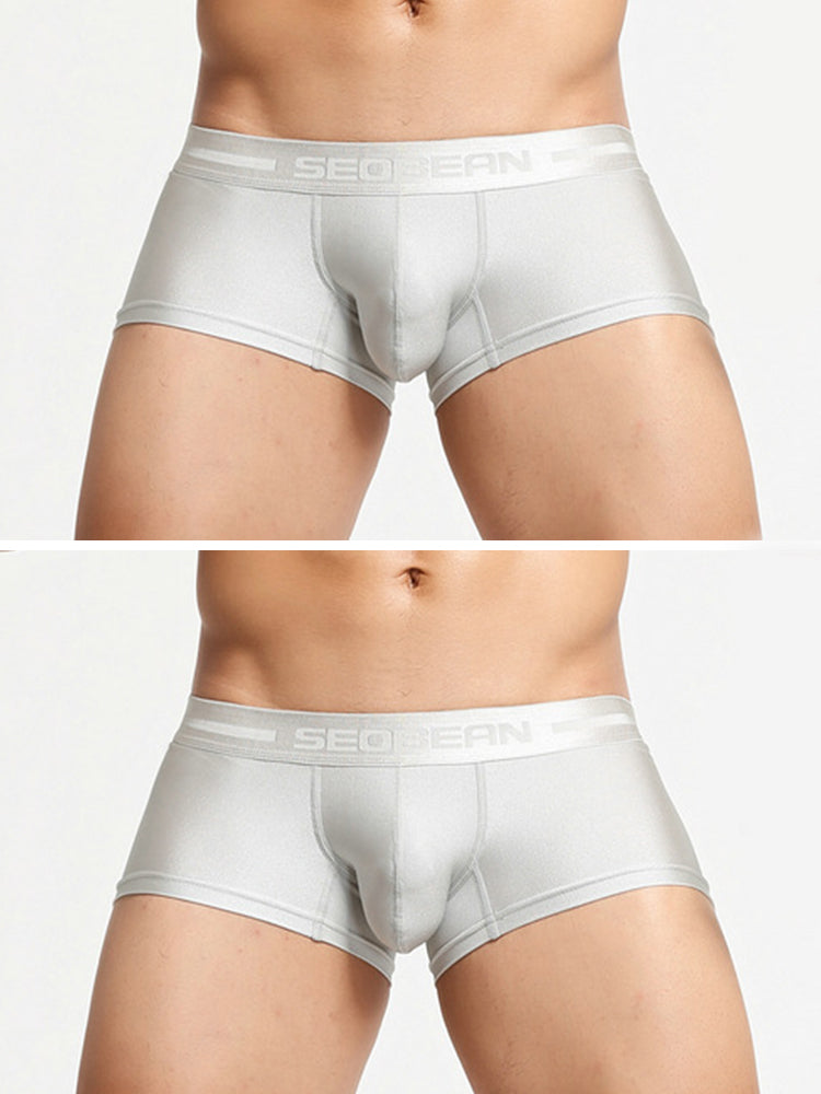 2 Pack Men's Lustrous Metallic Trunks