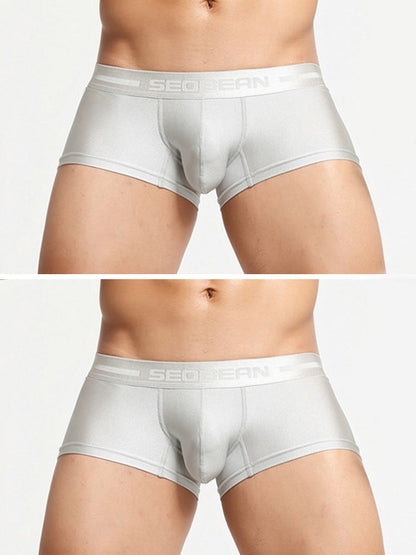 2 Pack Men's Lustrous Metallic Trunks