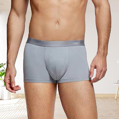 🎁Hot Sale 49% OFF⏳Men's Ice Silk Lightweight Boxer Briefs