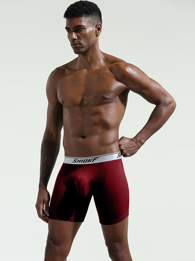 2 Pack Men's Mesh Separate Pouch Boxers Briefs