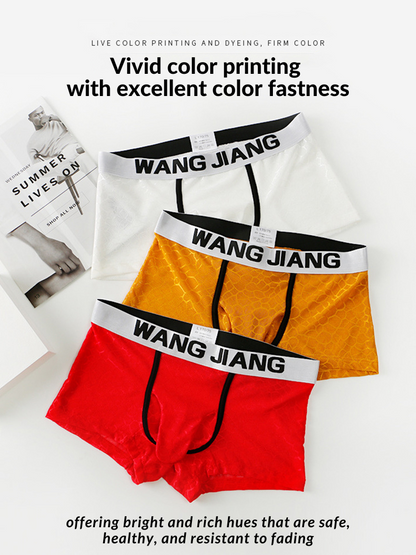 2 Pack Men's Ice Silk Lace Solid Sexy Trunks