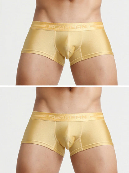 2 Pack Men's Lustrous Metallic Trunks