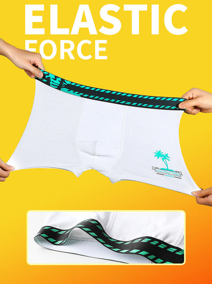 2 Pack Coconut Tree Printed Men's Underwear