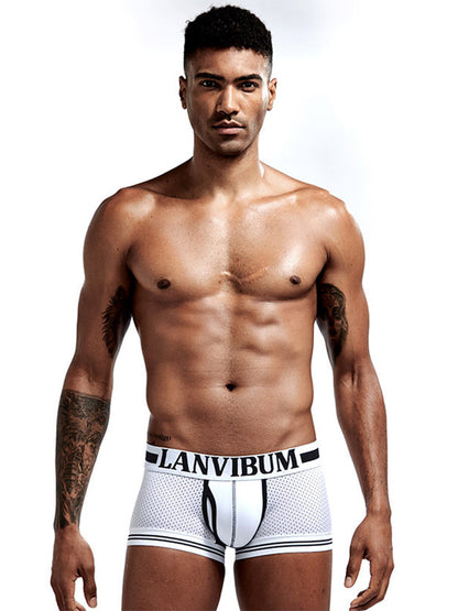 4 Pack Men's Mesh Breathable Quick-Dry Sexy Nylon Trunks