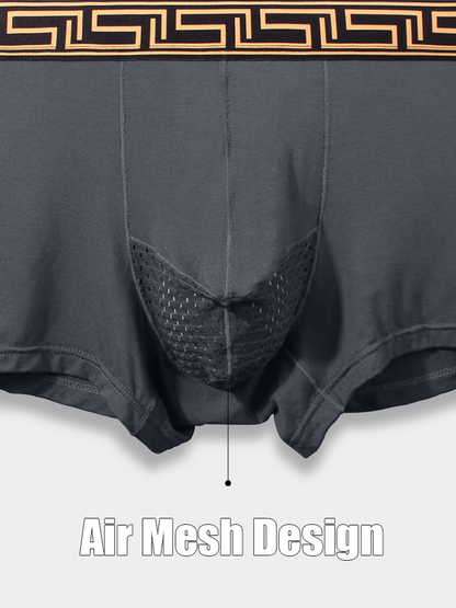 4 Pack Men's Athletic Mesh Pouch Trunks