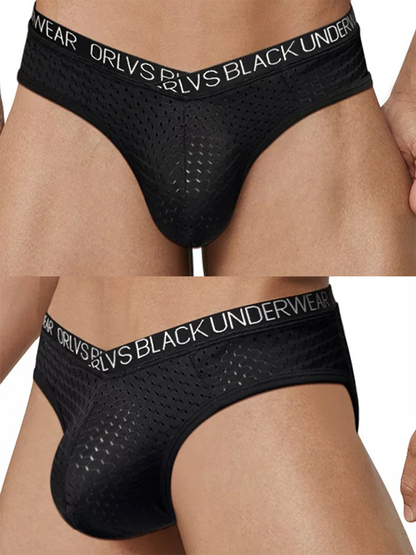 2 Pack Men's Sexy V-shape Waistband Mesh Bikinis