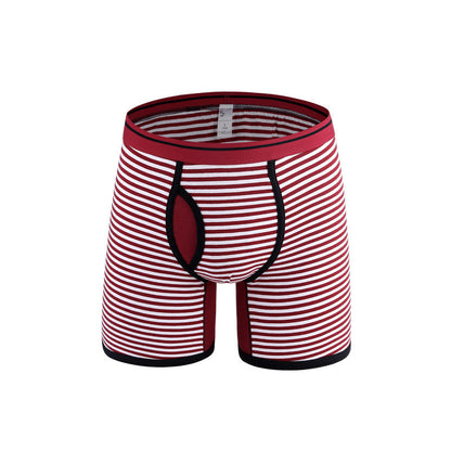 Men's Striped Plus Size Boxer Brief Fly Front with Pouch