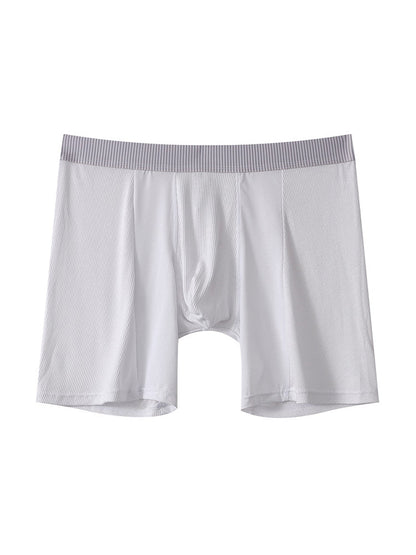 2 Pack Men's Anti-friction Sports Long Nylon Mesh Briefs