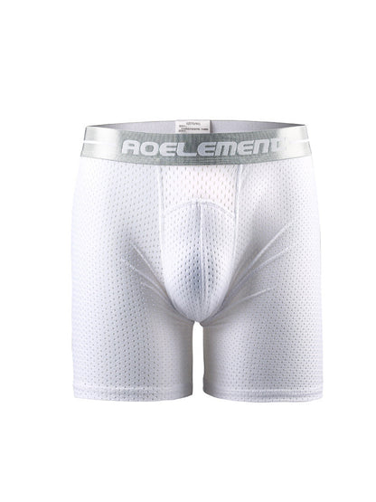 2 Pack Mesh Ice Silk Moisture Wicking Sport Boxer Underwear