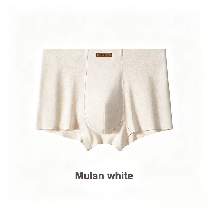 Men's Premium Pure Cotton Boxer Briefs - 10A Antibacterial Underwear