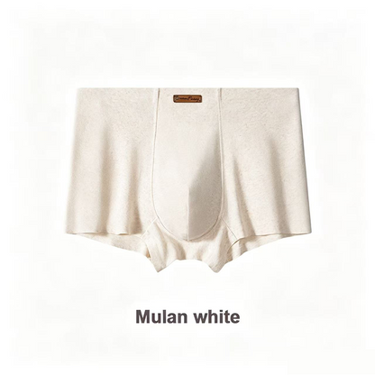 Men's Premium Pure Cotton Boxer Briefs - 10A Antibacterial Underwear