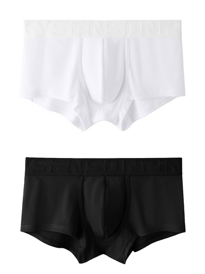 2 Pack Men's Breathable U Pouch Modal Trunks
