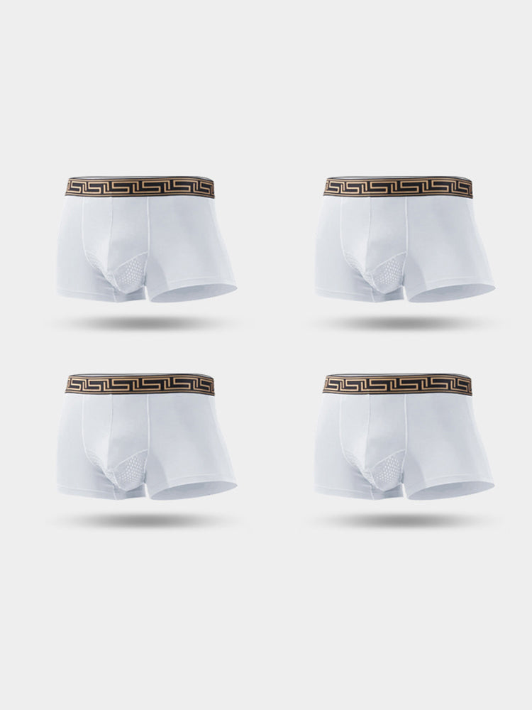 4 Pack Men's Athletic Mesh Pouch Trunks