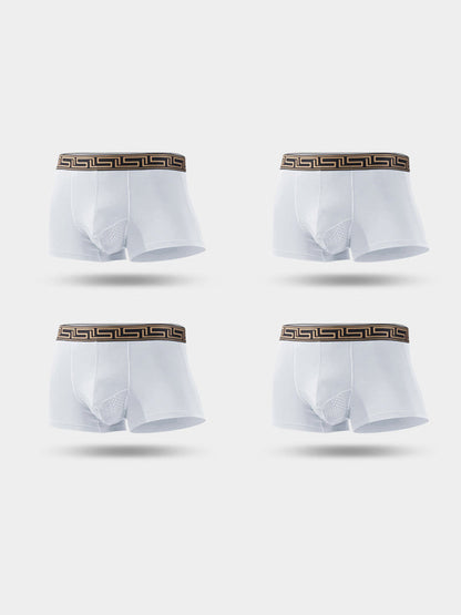 4 Pack Men's Athletic Mesh Pouch Trunks