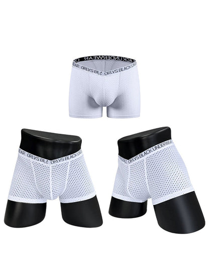 2 Pack Men's Sexy V-shape Waistband Mesh Trunks