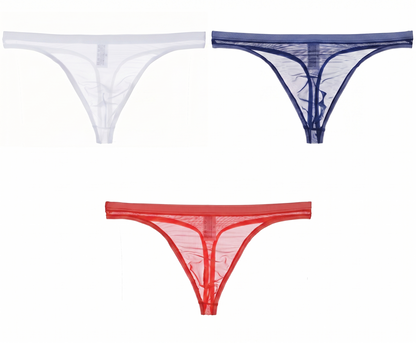 Men's Sexy Silk Mesh Bikini Thin Thong