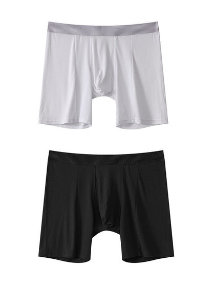 2 Pack Men's Anti-friction Sports Long Nylon Mesh Briefs