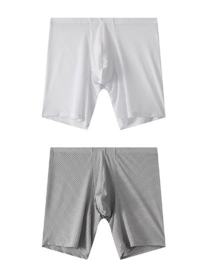 2 Pack Men's Mesh Transparent Sports Fitness Loose Boxer Briefs