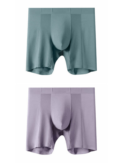 2 Pack Men's Long Athletic Boxer Briefs