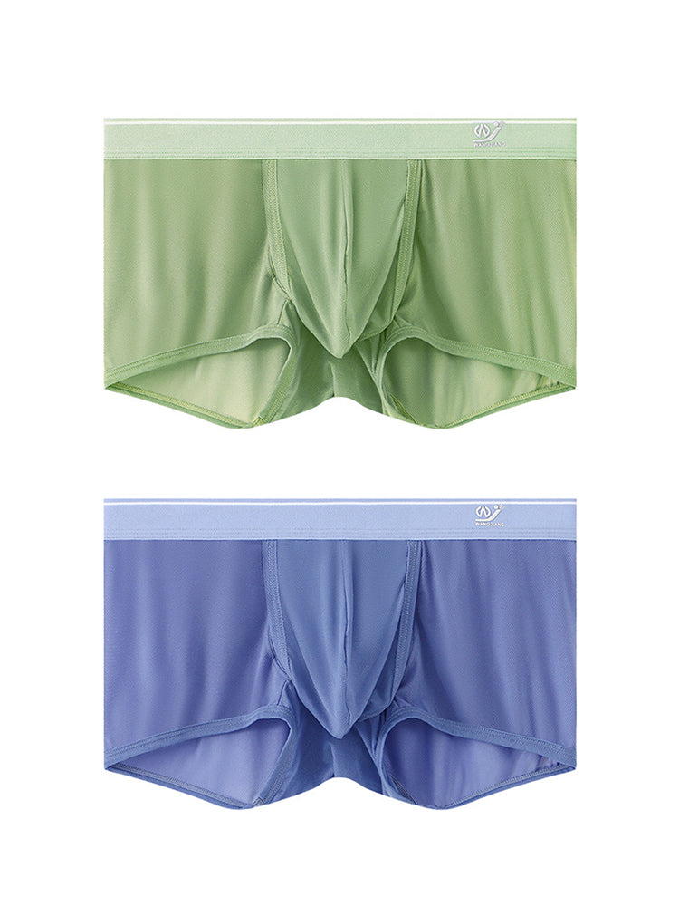 2 Pack Men's Breathable Mesh Trunks with Fly