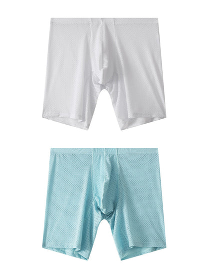 2 Pack Men's Mesh Transparent Sports Fitness Loose Boxer Briefs