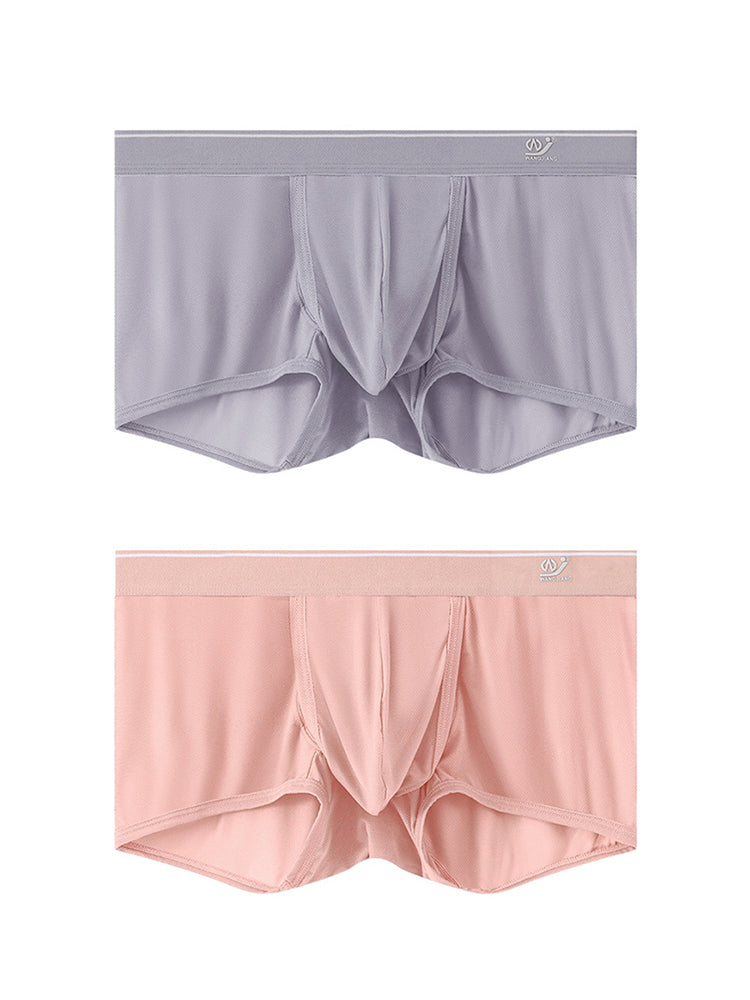 2 Pack Men's Breathable Mesh Trunks with Fly