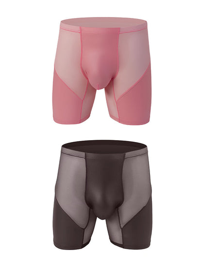 2 Pack Men's Casual Sports Transparent Mesh Midway Briefs