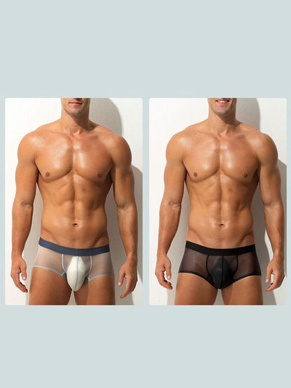 Men's Transparent Sexy Ice Silk Seamless Boxer Briefs