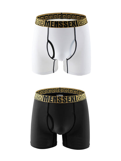 2 Pack Men's Sexy Sports Ice Silk Boxer Briefs