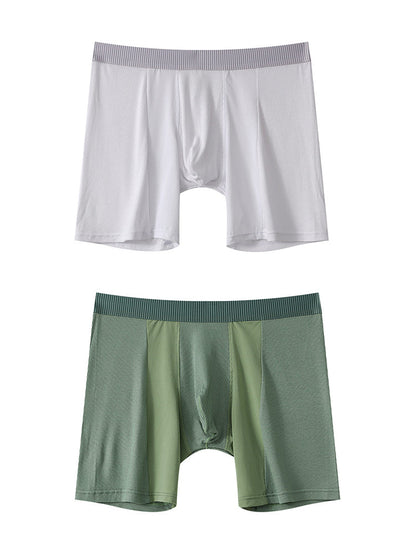 2 Pack Men's Anti-friction Sports Long Nylon Mesh Briefs