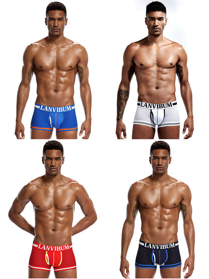 4 Pack Men's Mesh Breathable Quick-Dry Sexy Nylon Trunks