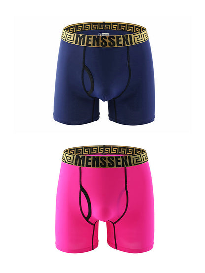 2 Pack Men's Sexy Sports Ice Silk Boxer Briefs