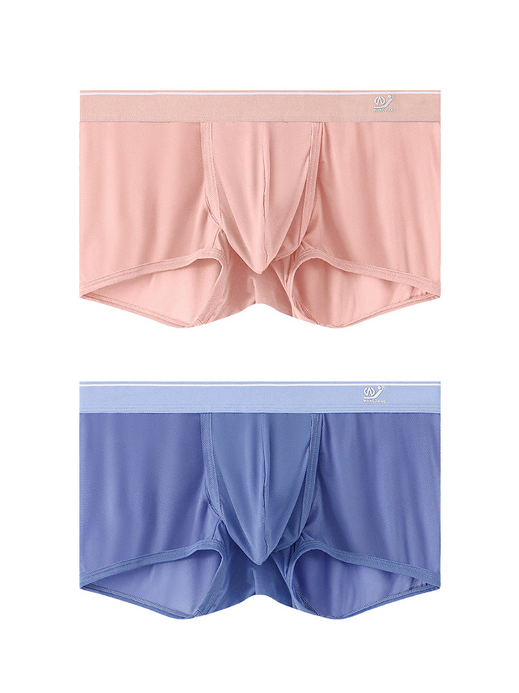 2 Pack Men's Breathable Mesh Trunks with Fly