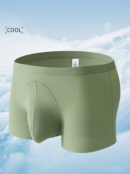 3 Pack Men's Ice Silk Mesh Large Pouch Solid Color Sexy Trunks